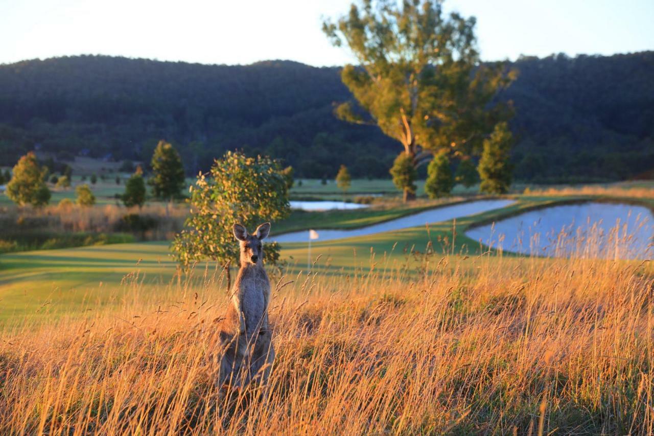Chateau Yering Hotel Yarra Glen Dış mekan fotoğraf